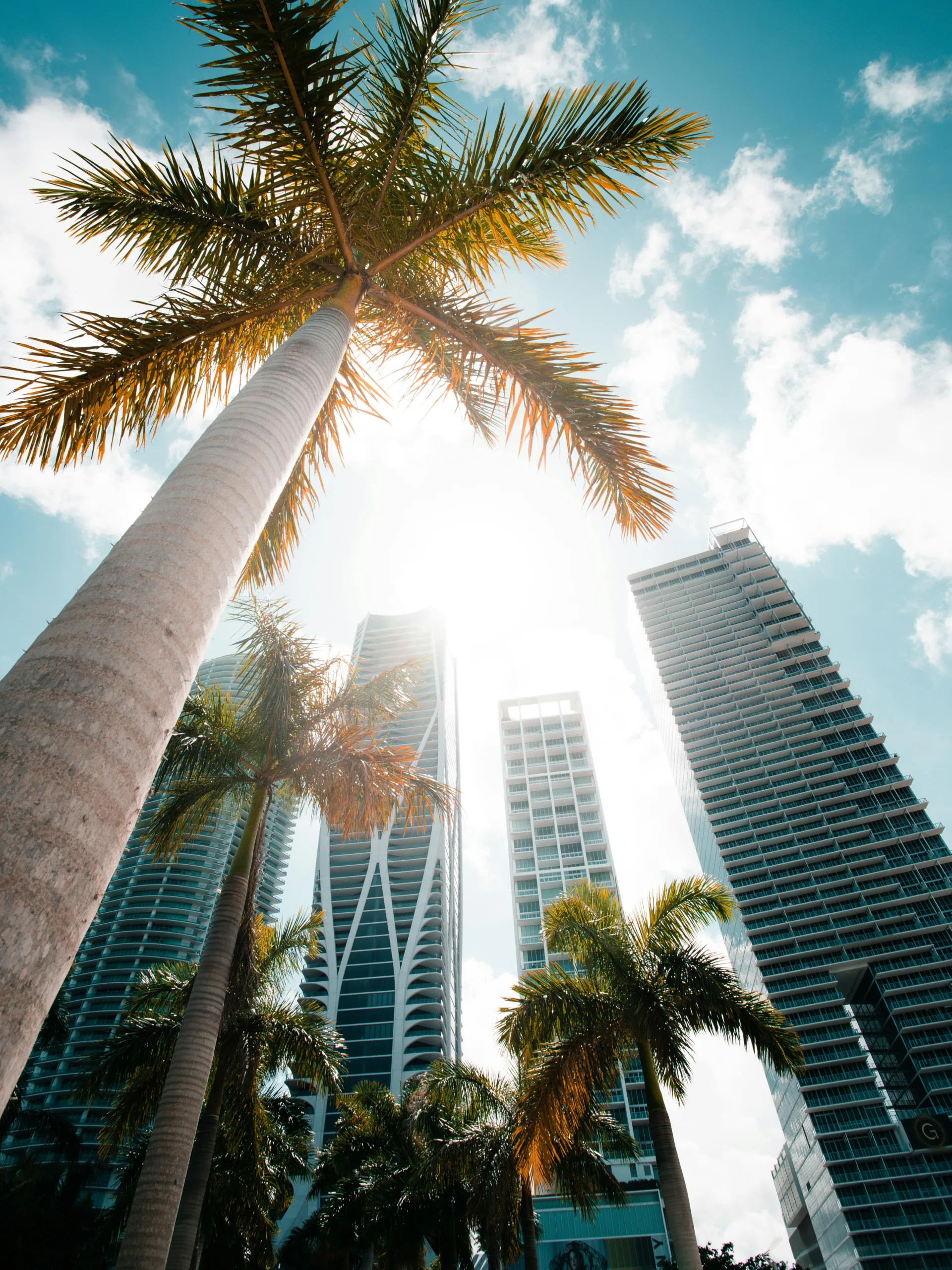 Florida Miami_adam-thomas-bC6M3pYG71g-unsplash-min