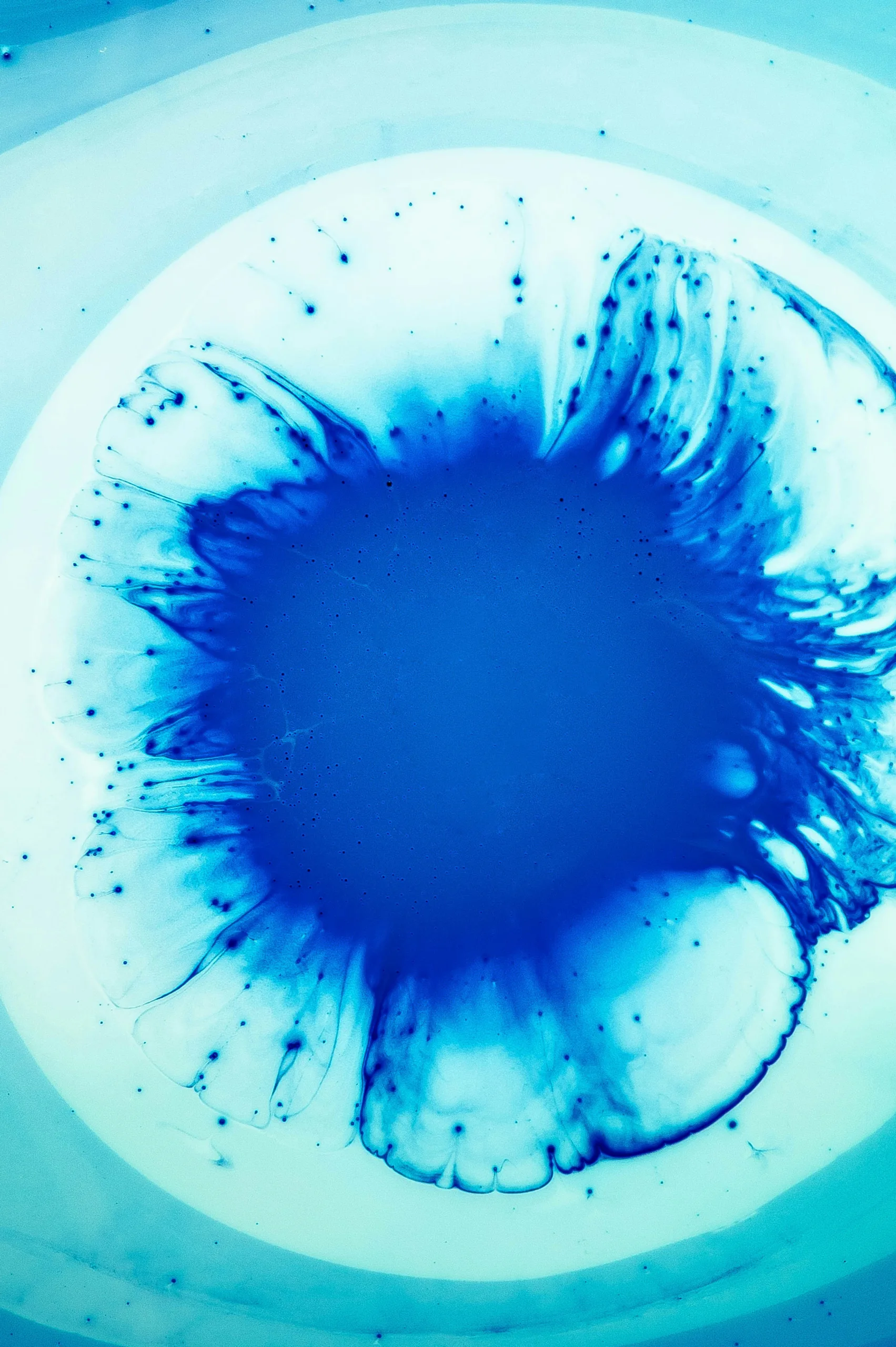 joel-filipe-Lw7BruqPnJY-unsplash