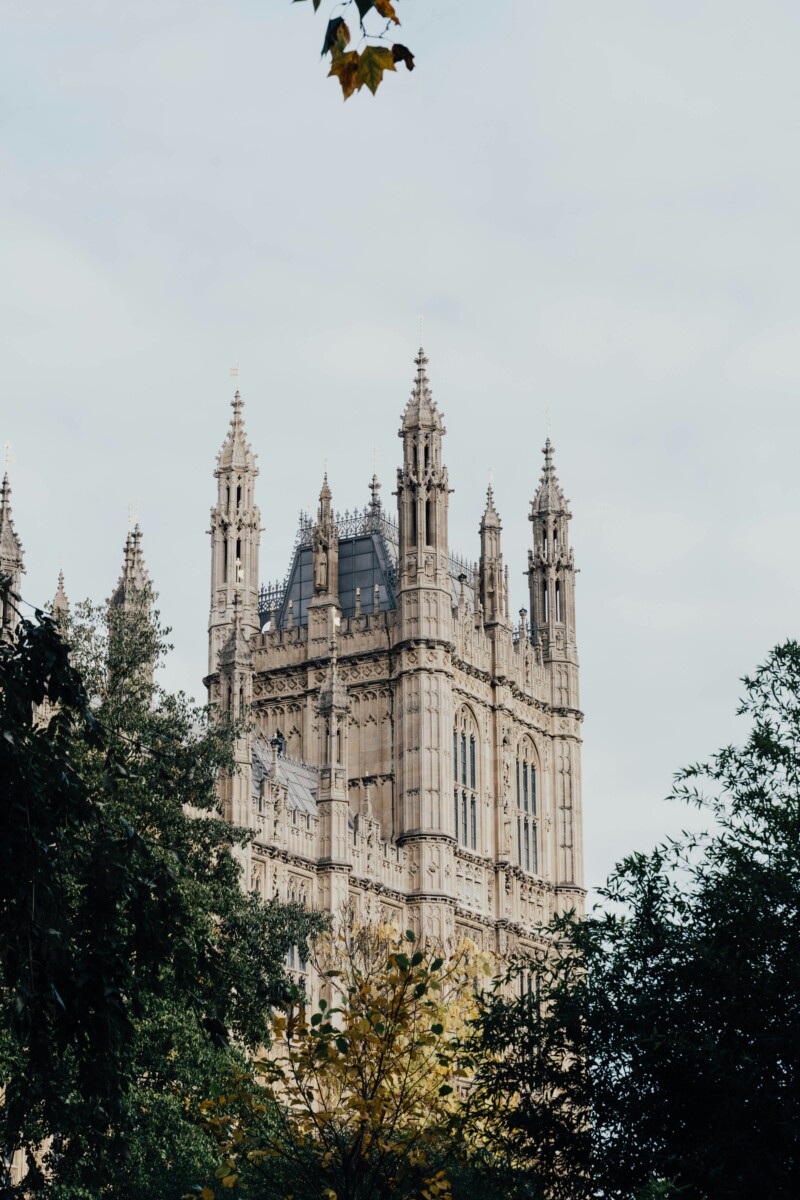 anna-claire-schellenberg-afjGXXYjxA0-unsplash