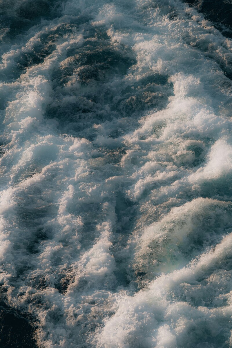 andrei-r-popescu-P3rR_A-BNs4-unsplash
