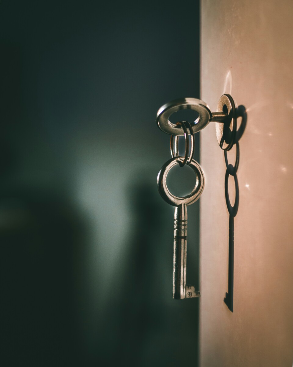 amol-tyagi-0juktkOTkpU-unsplash (1)